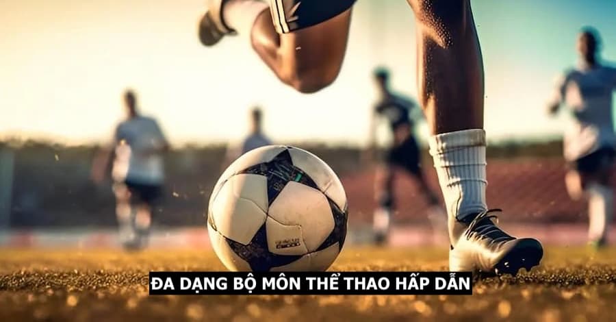 Dịch vụ cá độ đa dạng với nhiều bộ môn thể thao uy tín